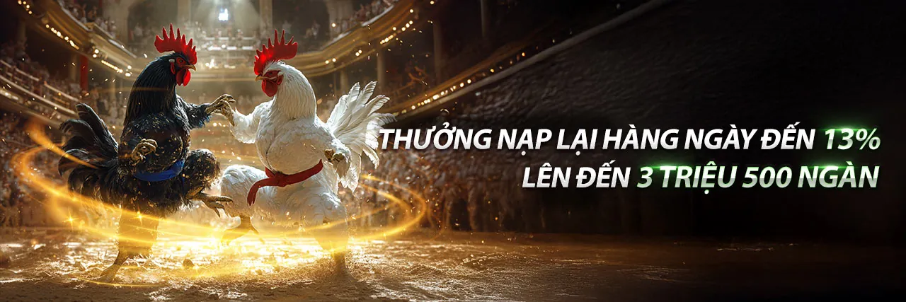 Giới thiệu vip69 nhà cái - Nền tảng cá cược trực tuyến uy tín