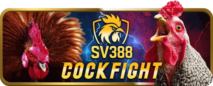Email Hỗ trợ vip69 nhà cái